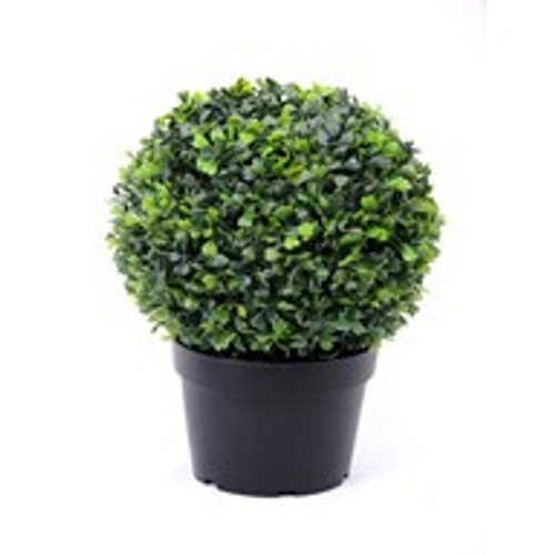 Potted Boxwood Ball 32Cm Potted Boxwood Ball 32Cm