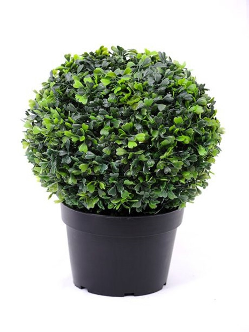 Potted Boxwood Ball 32Cm