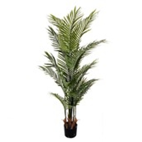 Potted Palm Tree 150cm Potted Palm Tree 150cm