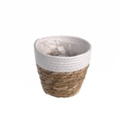 Seagrass Basket White 14x10x12cm Seagrass Basket White 14x10x12cm