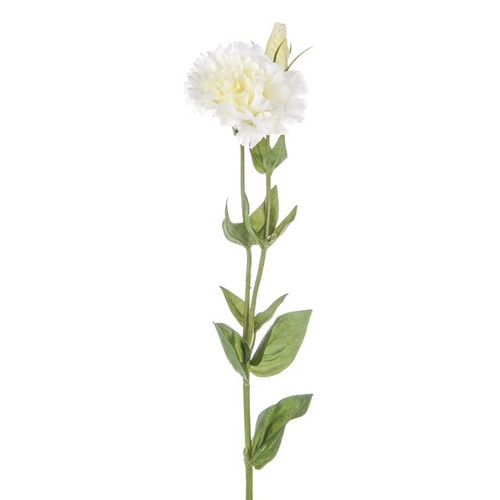Dawn Lisianthus Ivory 62Cm