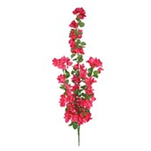 Essential Bouganvillia Trail - Pink
