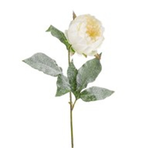 Single Peony White Snow Finish