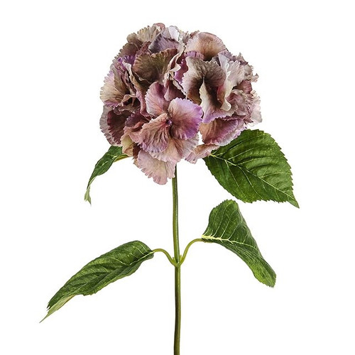 Hydrangea Dusky Pink 74Cm