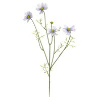 Cosmos Spray Blue 68Cm