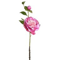 Peony Pretty Pink 60Cm