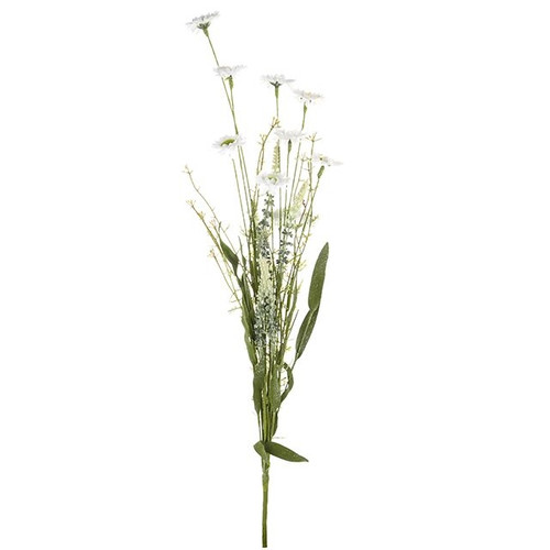 English Heath Daisy Leaf White