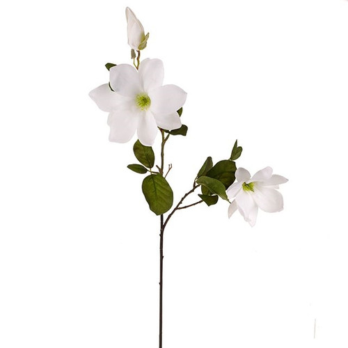 Pure Magnolia Spray 85Cm