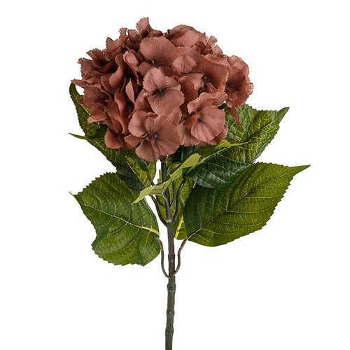Amelia Hydrangea Russet 67Cm