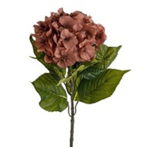 Amelia Hydrangea Russet 67Cm