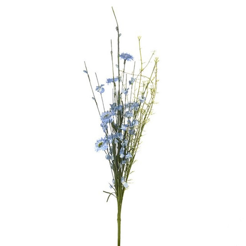English Heath Bloom Flower Blue