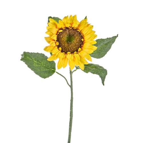 Sunflower Susan Lge Yellow