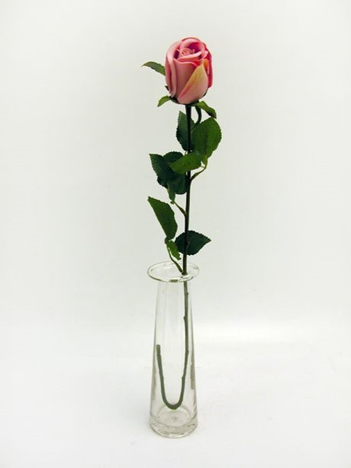 Prize Rose Bud Pink