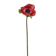 Anemone Stem Red