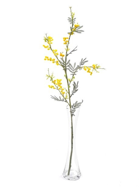 Mimosa Spray Yellow 80Cm