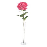 Rose Pippa Open Pink 68Cm
