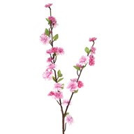 Hazy Days Blossom Pink 91Cm