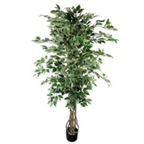 Potted Ficus Tree Green 185Cm Potted Ficus Tree Green 185Cm