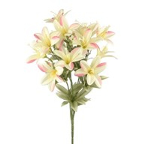 Flora Lily Bush Yellow Pink 38Cm