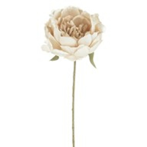 Romance Peony Cream 46Cm Romance Peony Cream 46Cm