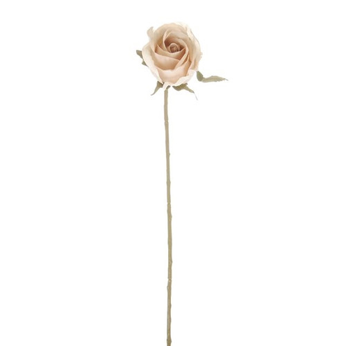 Romance Rose Bud Cream 46Cm