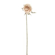 Romance Rose Bud Cream 46Cm