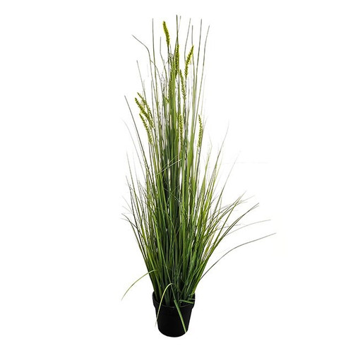 Potted Grass And Green Cattail 137Cm