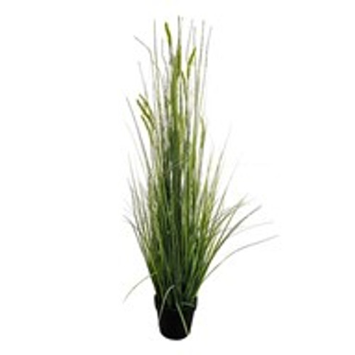 Potted Grass And Green Cattail 137Cm