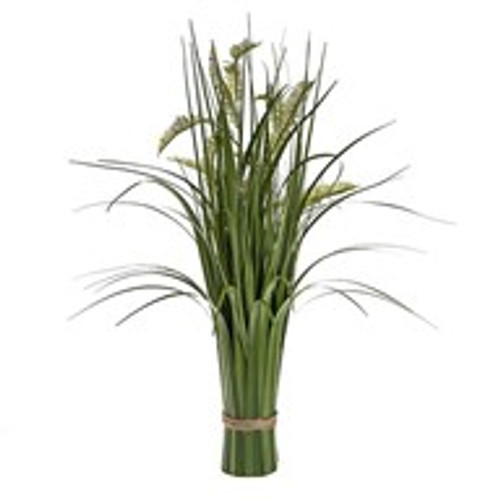 Grass Bundle Dragon Fern Grass Bundle Dragon Fern