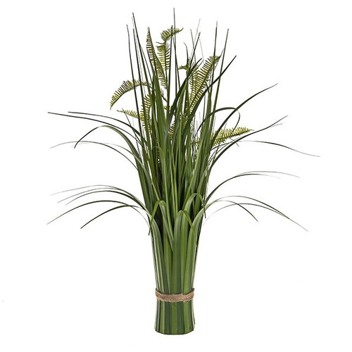 Grass Bundle Dragon Fern