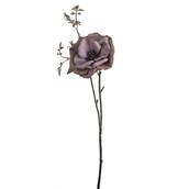 Dogwood Rose Spray Purple 48Cm Hqn