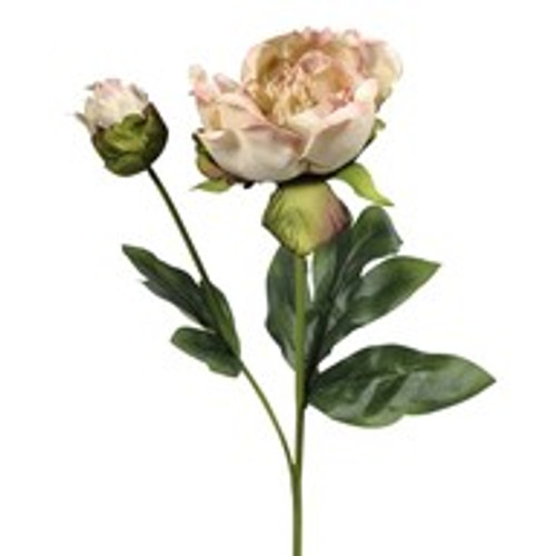 Vintage Peony Pink 48Cm