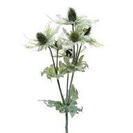 Sea Holly Spray Green 81Cm