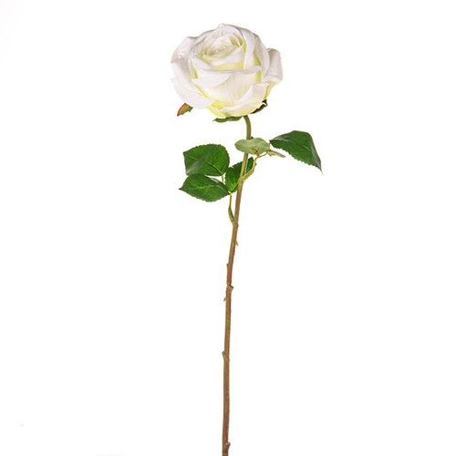 Fiesta Rose Cream 47Cm