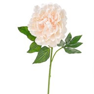Luna Peony Peach 56Cm