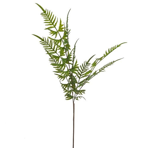 Fern Spray