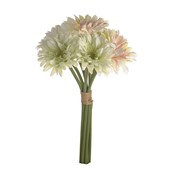 GERBERA BUNDLE X 8 CREAM