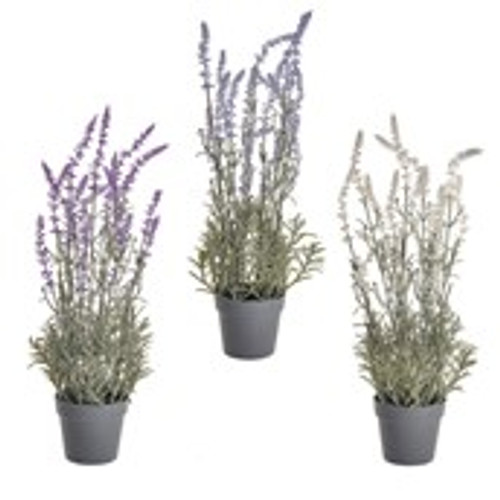 Potted Lavender 3Ast 46Cm Potted Lavender 3Ast 46Cm
