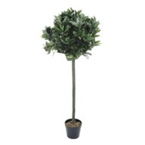 Potted Bay Tree 122Cm Potted Bay Tree 122Cm