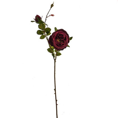 Jewel Rose Spray Wine 64Cm