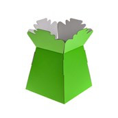 Living Vase Lime X30