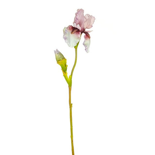 Iris Spray Pink And Purple 79Cm