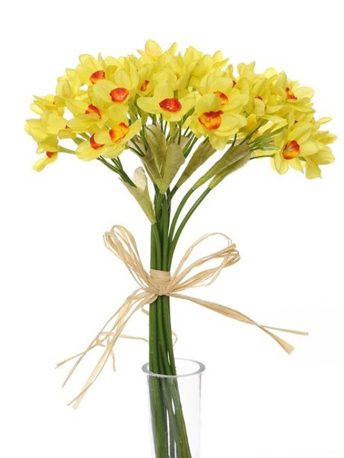 Daffodil Bush Tete A Tete 34Cm