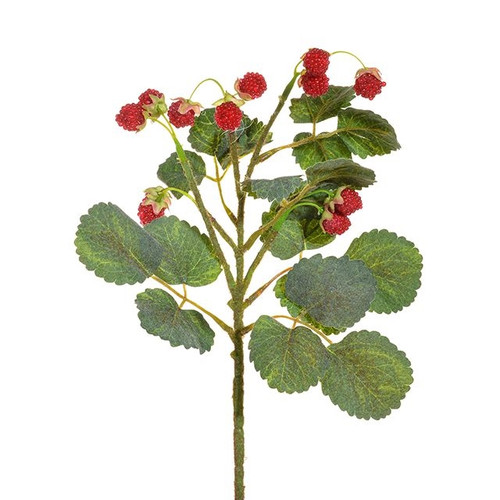 Raspberry Pick 29Cm