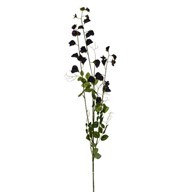 Sweetpea Spray Plum 119Cm