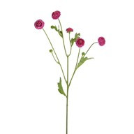 Aster Spray Pink 64Cm