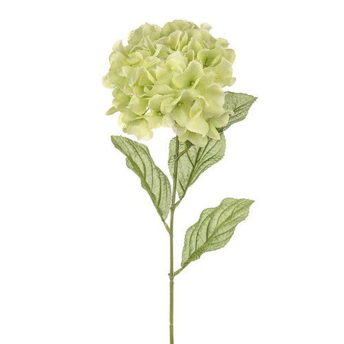 Dawn Hydrangea Green 72Cm