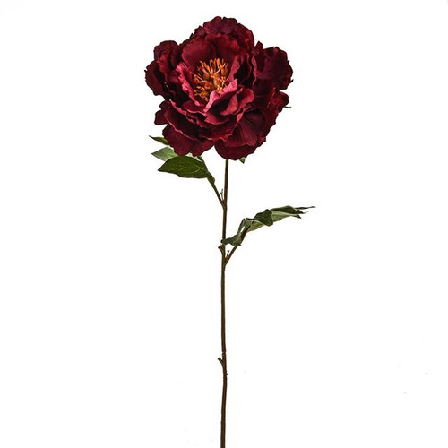 Jewel Peony Stem Wine 63Cm