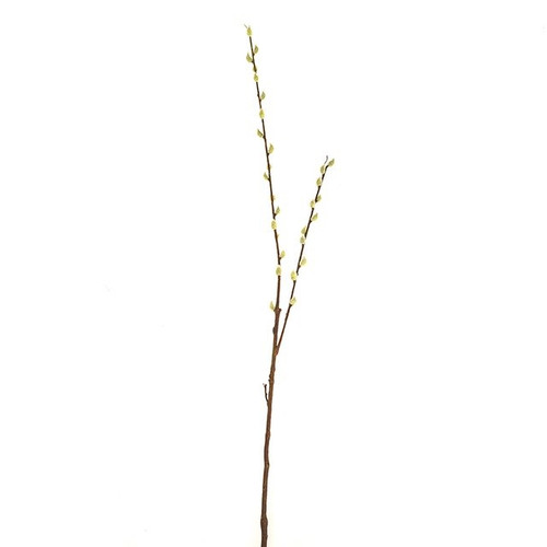 Pussy Willow Stem 100Cm