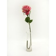 Prize Rose Med Pink